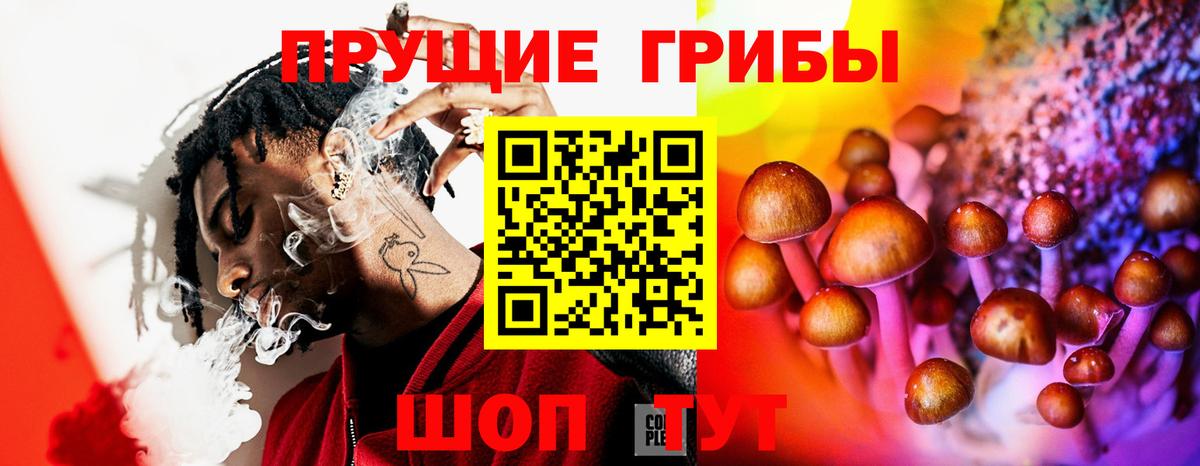 Галлюциногенные грибы прущие грибы Новокубанск
